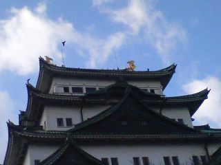 20070112_325860.jpg