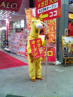 20070114_326782.jpg