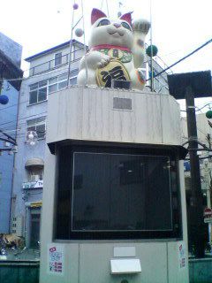 20070114_326791.jpg