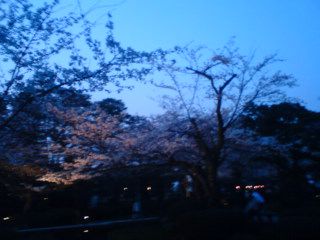 SN3E0145_0001.jpg