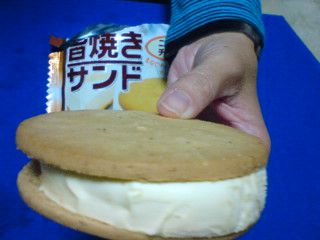 SN3E1527_0001.jpg